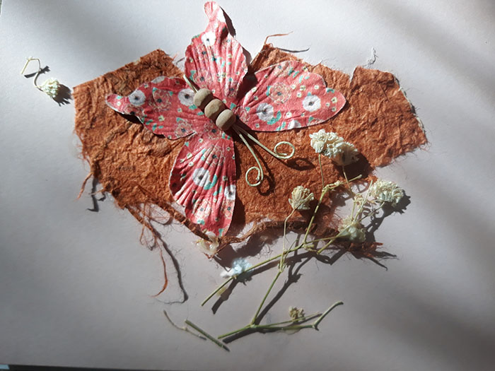 Butterfly 3